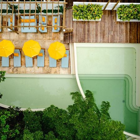 Cafe Jeri Hotel 지조카 데 제리콰콰라 외부 사진 The rooftop pool at the hotel